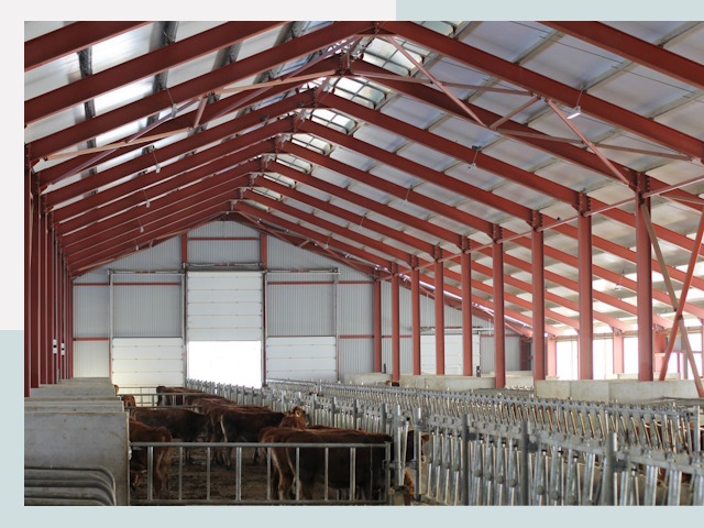 Строительство коровников в Гуково