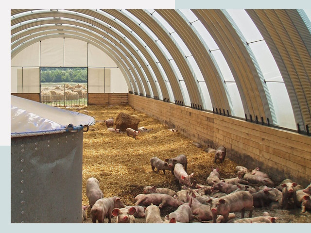 Строительство свинарников в Гуково