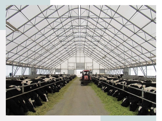 Тентовые коровники в Гуково от 616 руб. - Надежно и доступно