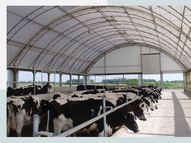 Тентовые коровники в Гуково